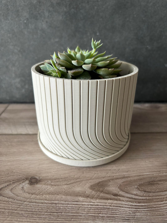 Modern Plant Pot